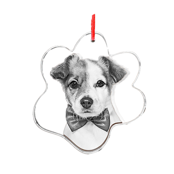 3D Crystal Ornament - Paw - Image 2